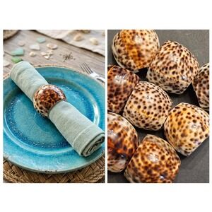 Carved Tiger Cowrie Shell Napkin Rings Set of 8 Brown Tan Coastal Beach Resort